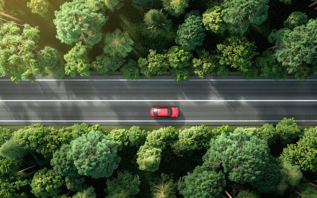 GUIDA IN STATO DI EBREZZA