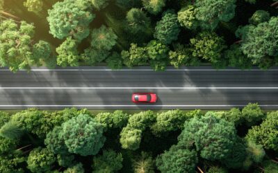 GUIDA IN STATO DI EBREZZA